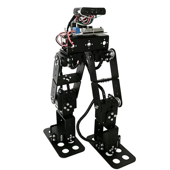 6-DOF biped frame