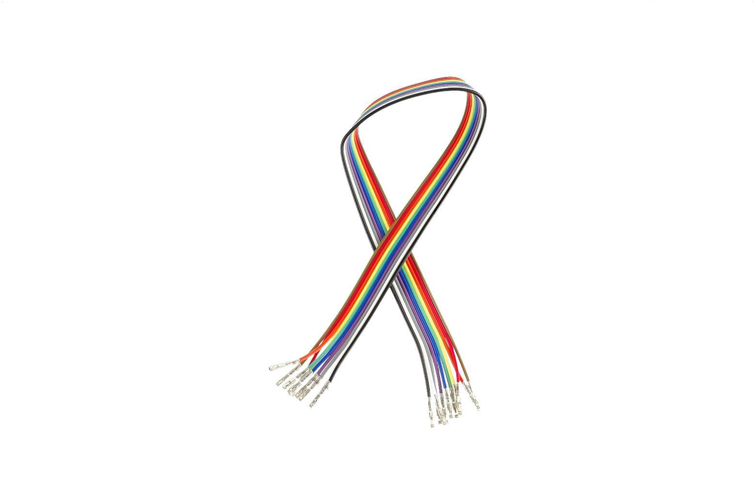 Female jumper ribbon · 10 wires