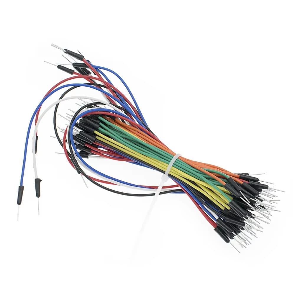 First circuit lab